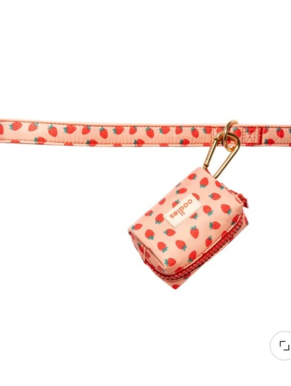 Oodles Pink Strawberry Pet Walking Set - Collar Leash Dispenser - Small